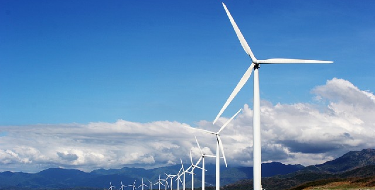 Ce înseamnă pajiștile duale și sustenabile care dau și iarbă, lapte și electricitate?