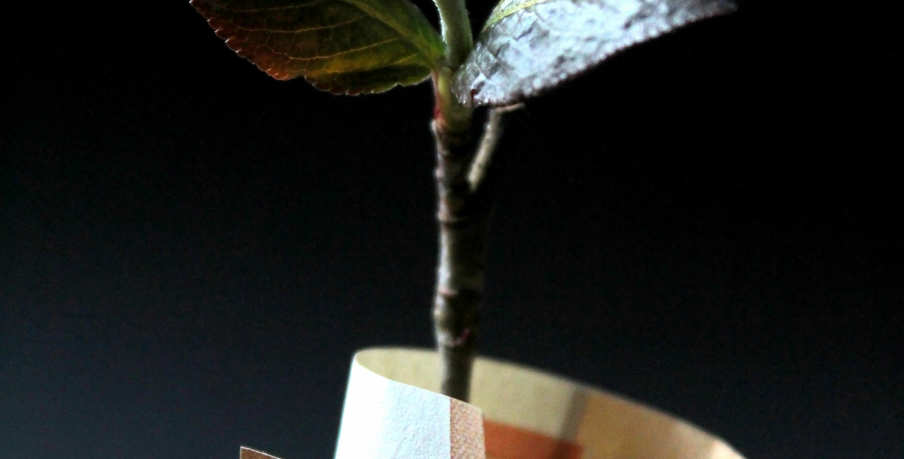 Premiile „noastre” de sustenabilitate și premiile “lor”