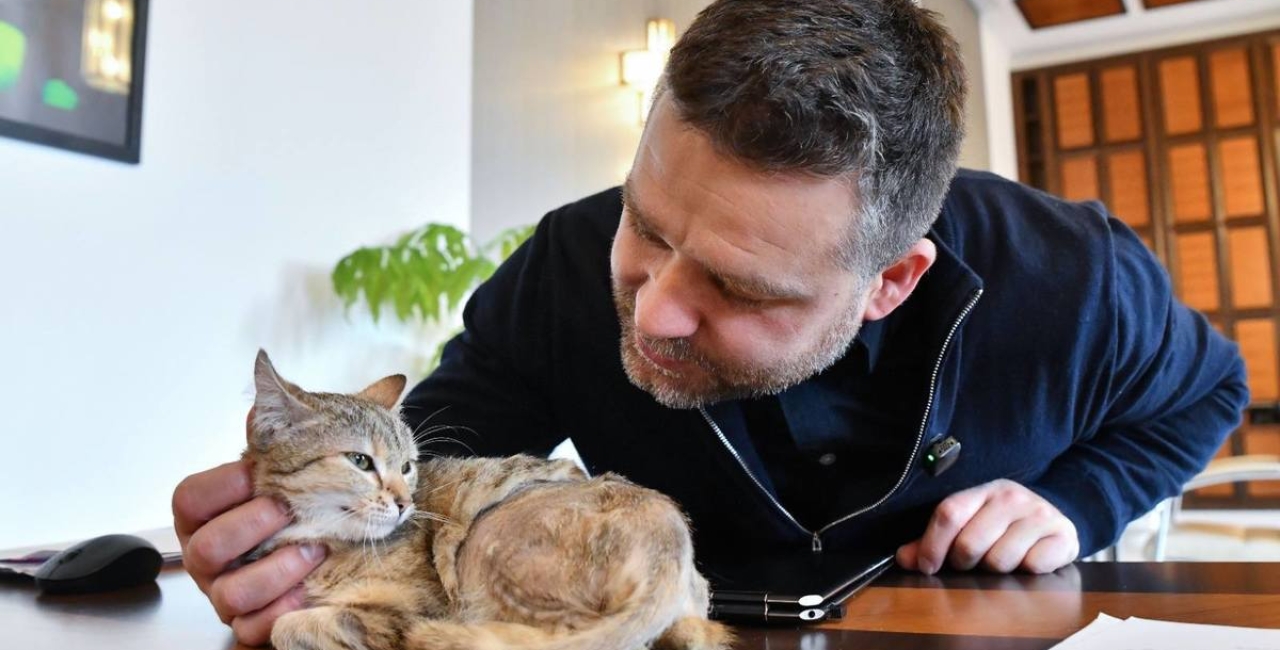 Când „verde” devine opțional: cum reușește Bucureștiul să descurajeze exact ce ar trebui să încurajeze