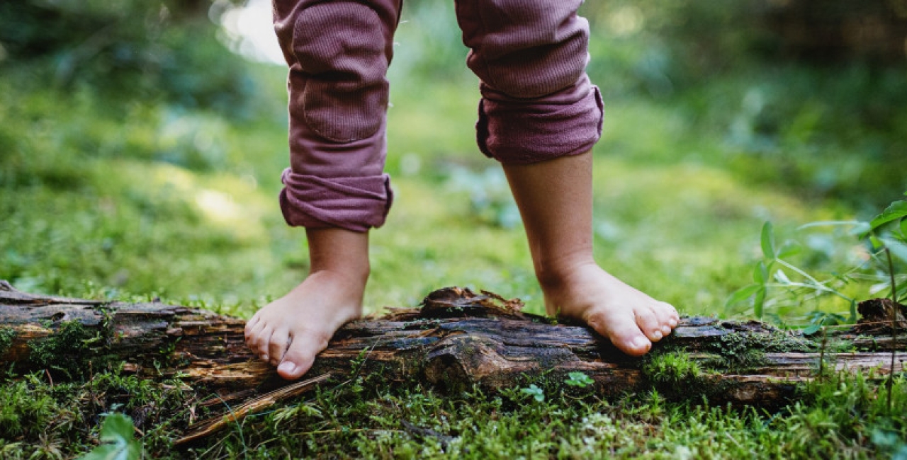 Retrospectiva...Germaniei: cum se studiază impactul mediului asupra sănătății