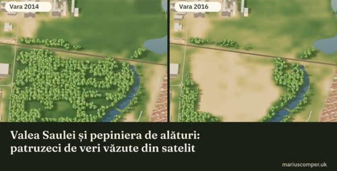 De la ecocid nepedepsit la arie protejată: Istoria celor 27 de hectare de verdeață din Sectorul 2 ale căror urme se văd din satelit