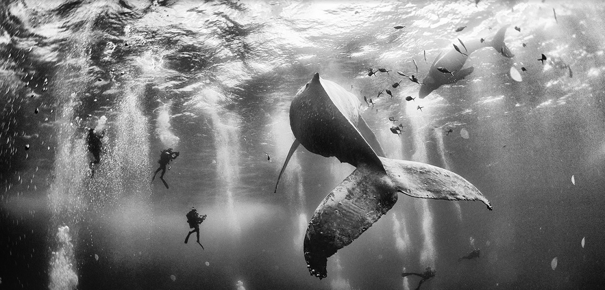 Un român, printre câștigătorii concursului National Geographic Traveler 2015 - FOTO