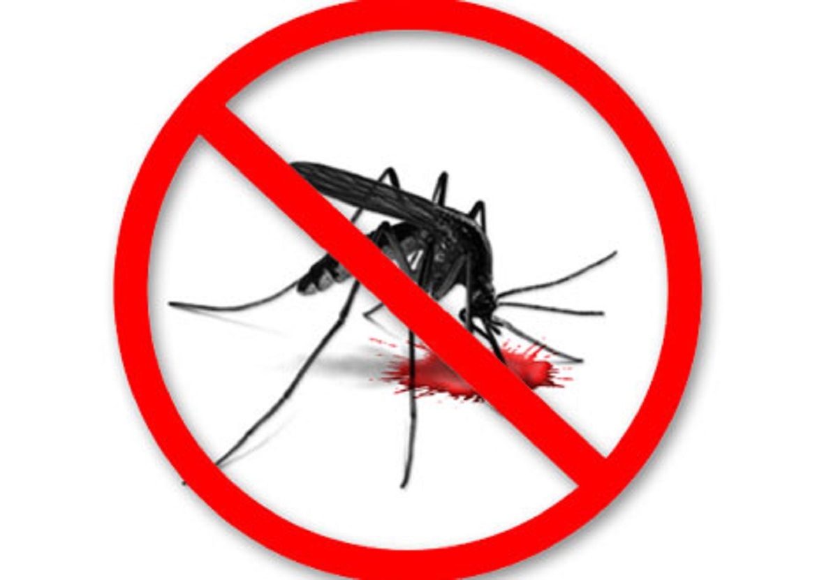 O vară fără insecte cu uleiuri esențiale