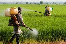 ONU: folosirea intensivă de pesticide pentru a hrăni planeta este un mit