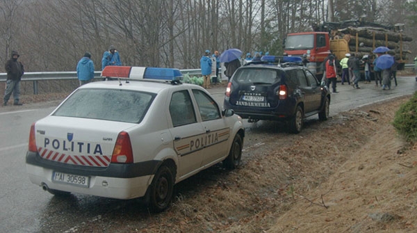 Agent Green cere mai multă autoritate pentru Jandarmerie și Poliție pentru protejarea pădurilor