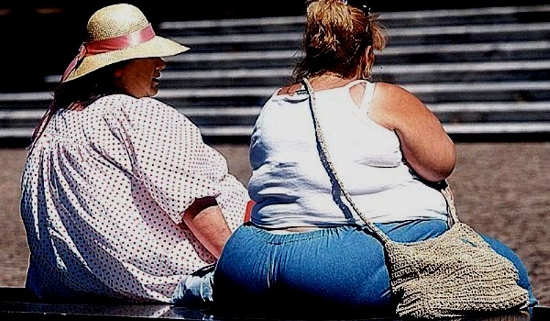 Europa se va confrunta cu o epidemie de obezitate, iar mediul înconjurător joacă un rol important în apariţia afecţiunii
