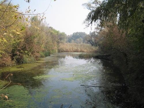 Salvați Parcul Sticlăriei, o oază de natură din sectorul 2, de la distrugere!