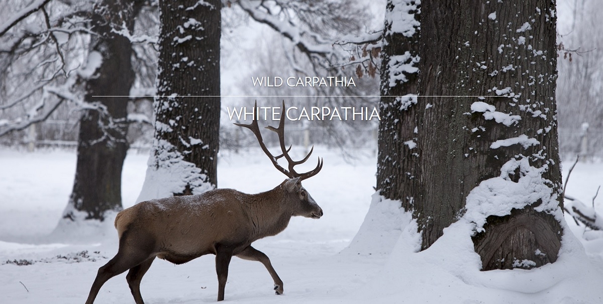 Realizatorii documentarului ”Wild Carpathia” vor să continue campania de promovare a României - VIDEO