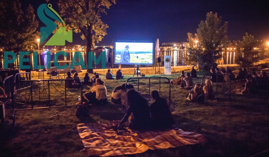 Kedi/Cats, documentarul despre pisicile din Istanbul, și Planeta Petrila (România), printre filmele din competiția Black Sea Docs