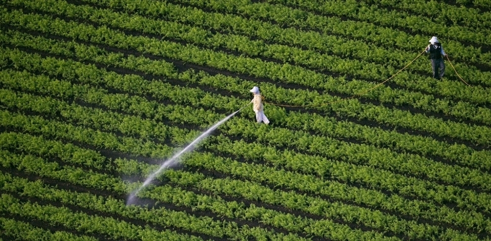 Manifestări în Belgia care au ca temă alimentația biologică, în cadrul Săptămânii de promovare a agriculturii bio