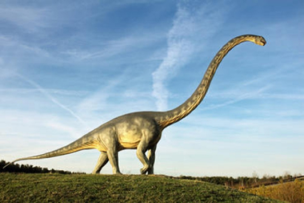 Nouă descoperire despre dinozauri: aveau atât sânge rece, cât și cald